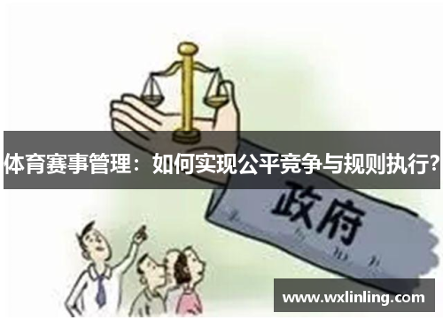 体育赛事管理：如何实现公平竞争与规则执行？